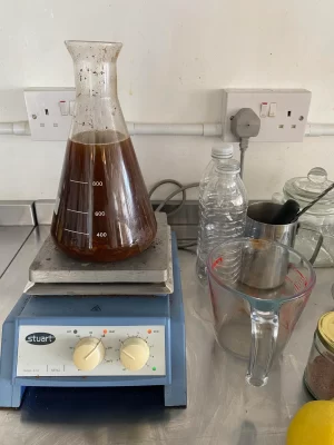 Ayahuasca Brew